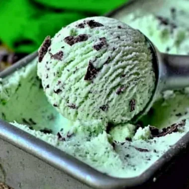 Homemade mint chocolate chip ice cream made with seven simple ingredients.