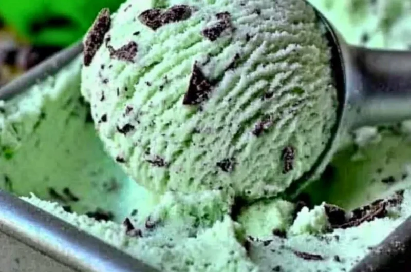 Homemade mint chocolate chip ice cream made with seven simple ingredients.