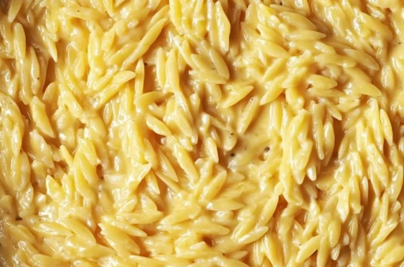 Serving of protein-packed cottage cheese orzo with fresh vegetables